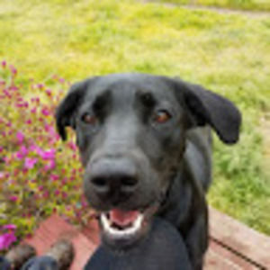 Meet your Posher, Carly